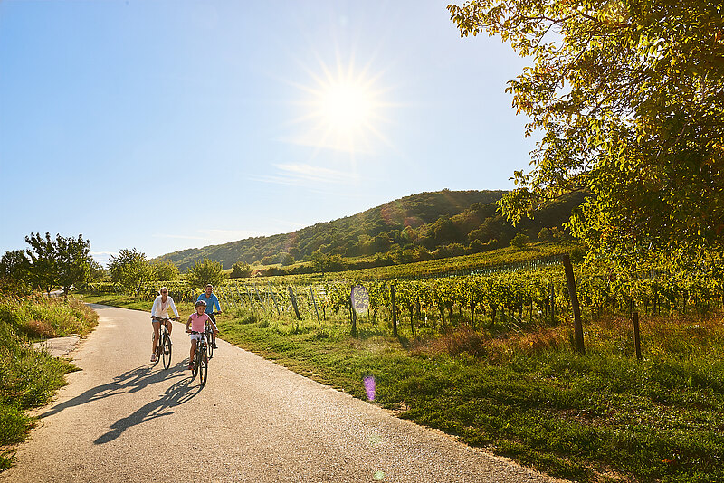 Eine Familie auf Fahrradausflug in Bad Tatzmannsdorf bei strahlendem Sonnenschein und wolkenlosem Himmel – perfekter Tag in der Natur.